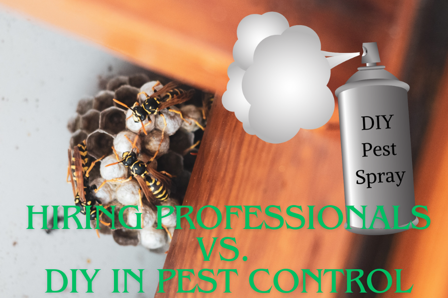 pest control prices