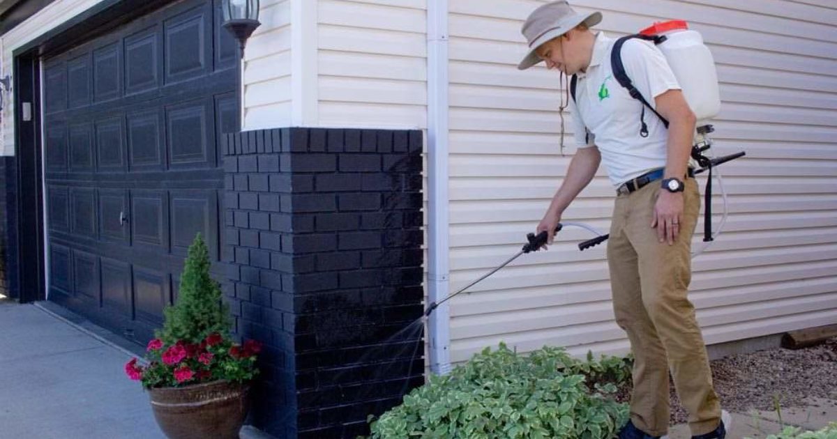 The Importance of Hiring Certified Pest Control Professionals